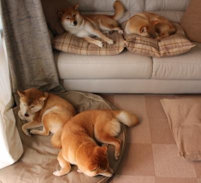 _湖人队全力以赴，誓冲季后赛名额_，湖人队新赛季