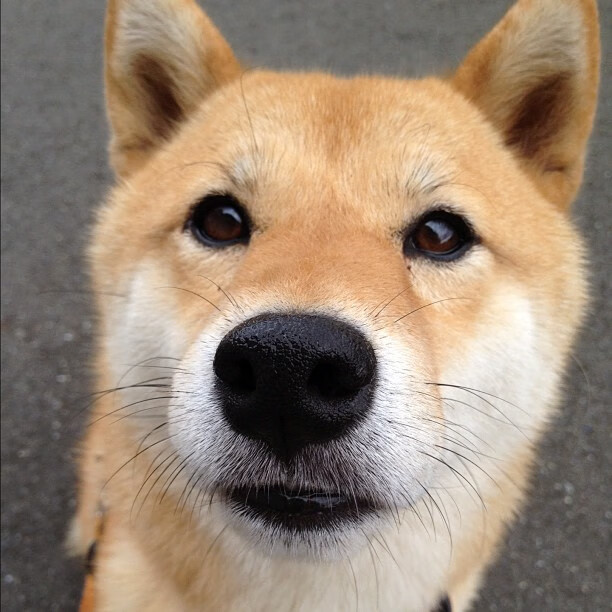 “英超逆转场面不断，高潮迭起令人振奋”，“英超”