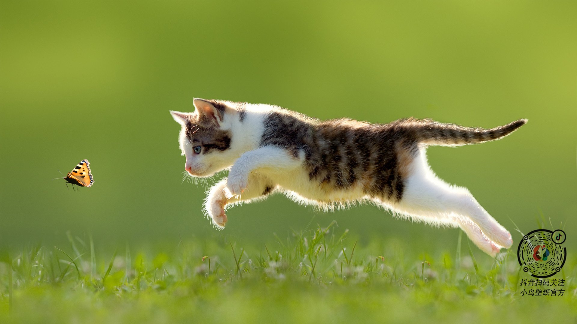 “西甲强队摩拳擦掌，迎来关键战役”