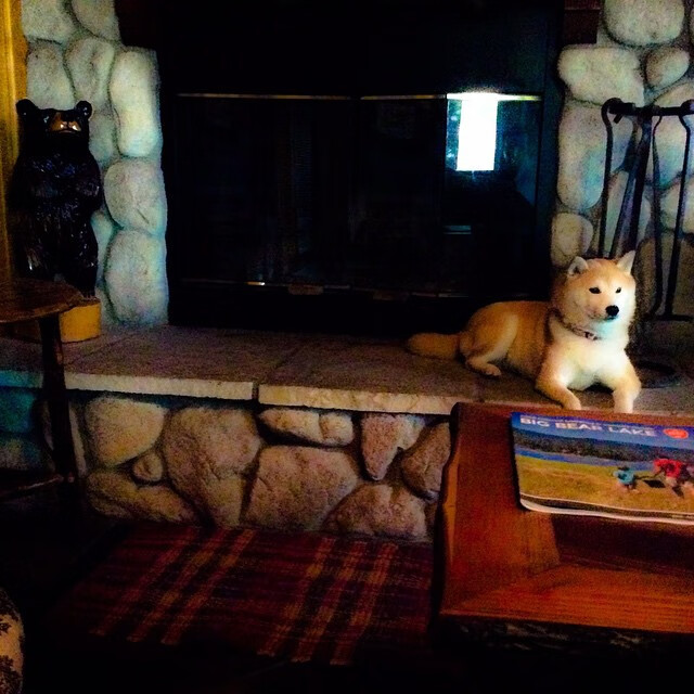 摩洛哥男足在巴黎奥运会上表现出色，赢得多场比赛，摩洛哥足球队