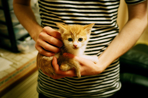 中巡赛举办青少年高尔夫培训班,培养新一代球员,青少年高尔夫巡回赛