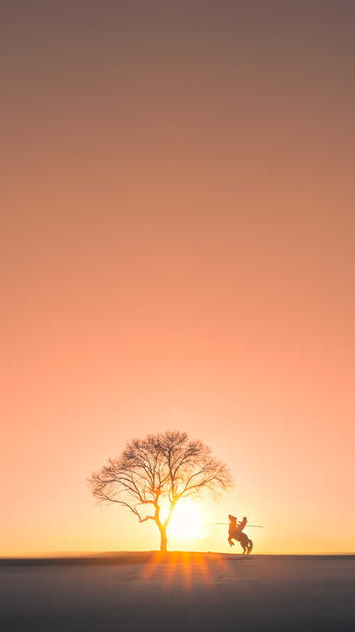 伯恩利连续三轮不胜，寻求止颓，球队面临新挑战，伯恩利实力怎么样