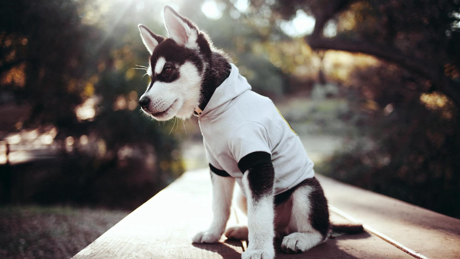 开云体育平台-巴萨在欧洲超级杯中击败对手，夺得第六座欧洲超级杯奖杯，欧洲冠军联赛巴萨