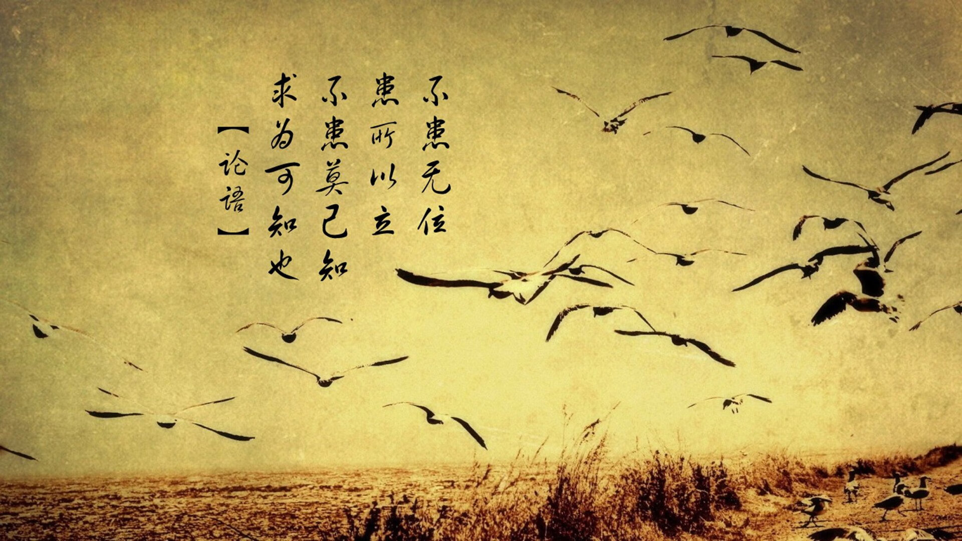 开云在线-斯坦力城前锋再现绝杀威胁，对手束手无策，斯坦利岛