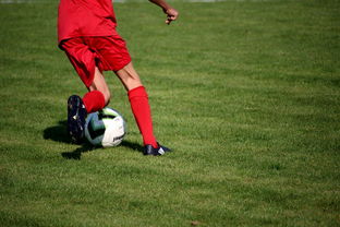 开云体育平台-篮球运动员心理韧性培养与干预体系，篮球运动员的心理选材